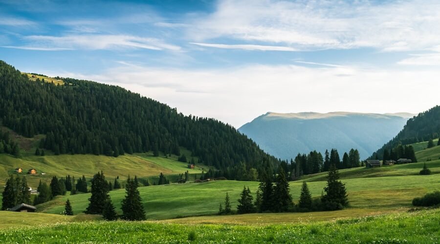 110420261775921800 900x500