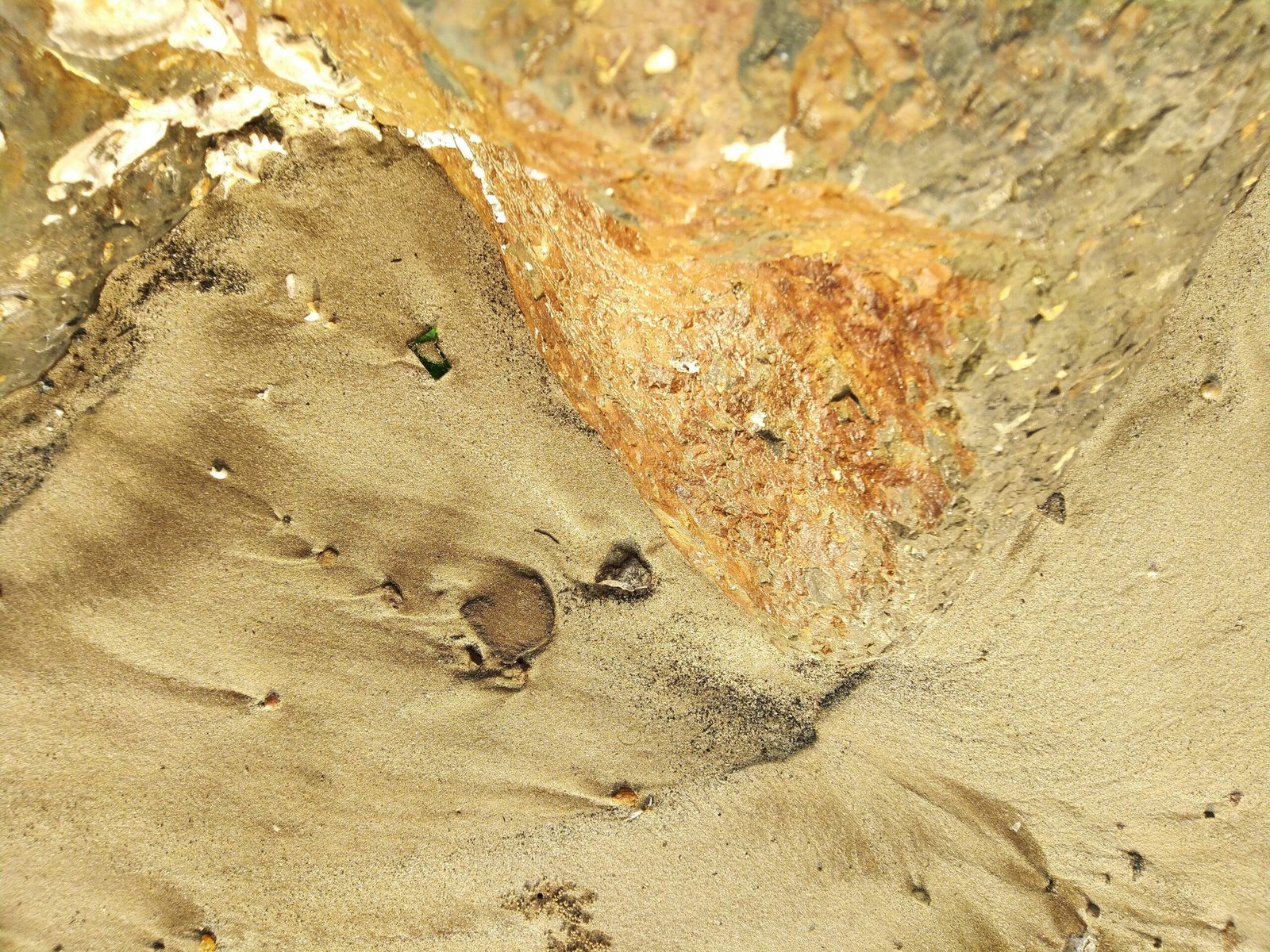 140420261776188290 scaled