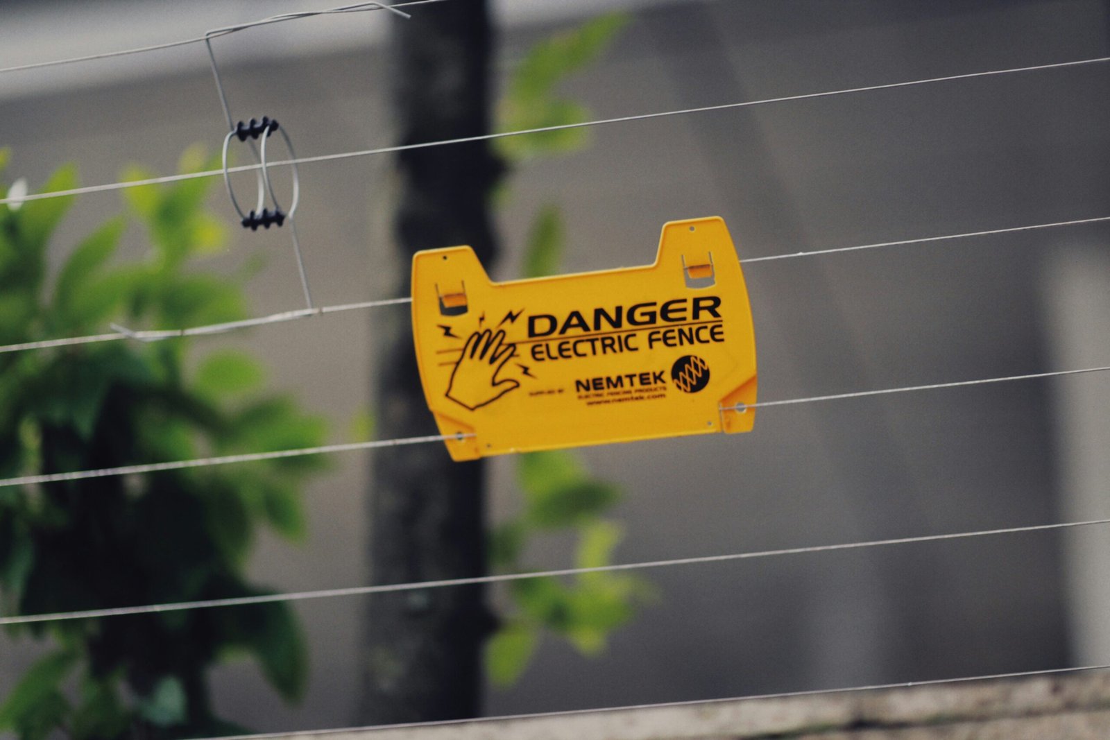 140420261776198411 scaled