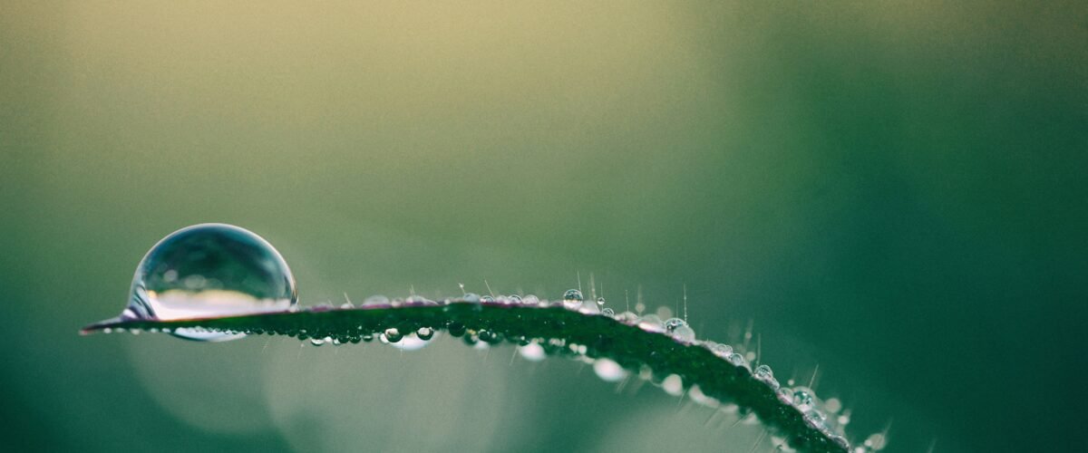 140420261776198457 1200x500