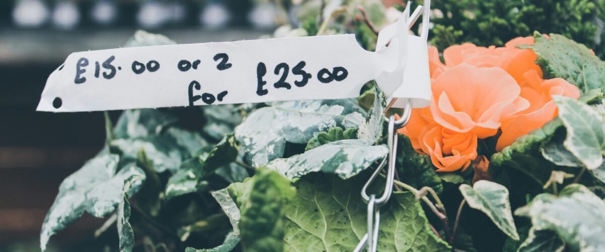 140420261776198572 1200x500