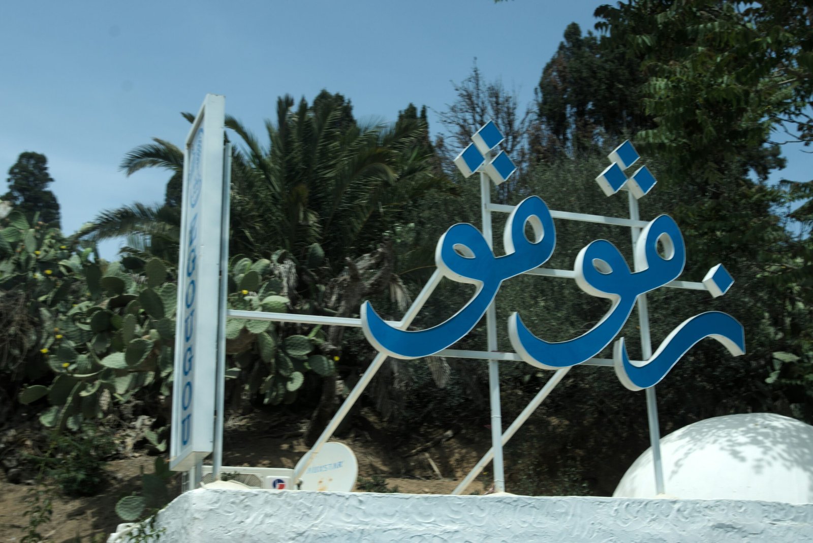 140420261776198948 scaled