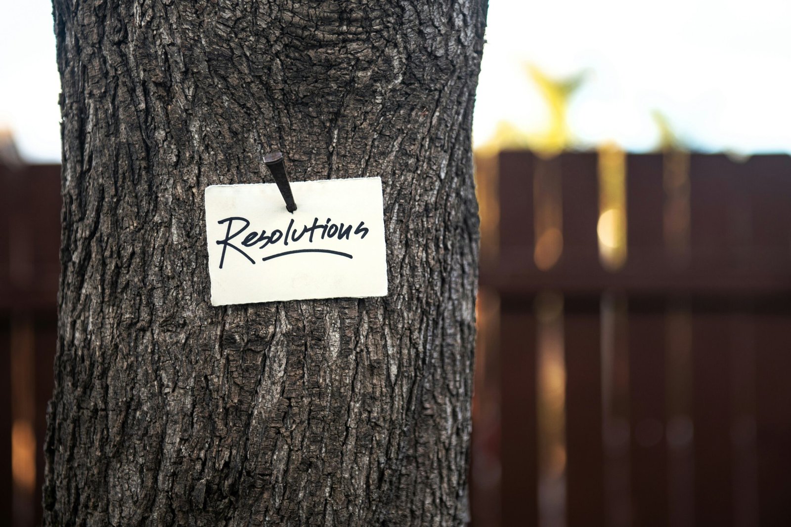 140420261776199172 scaled