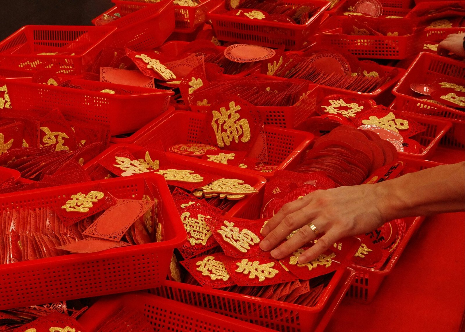 140420261776199218 scaled