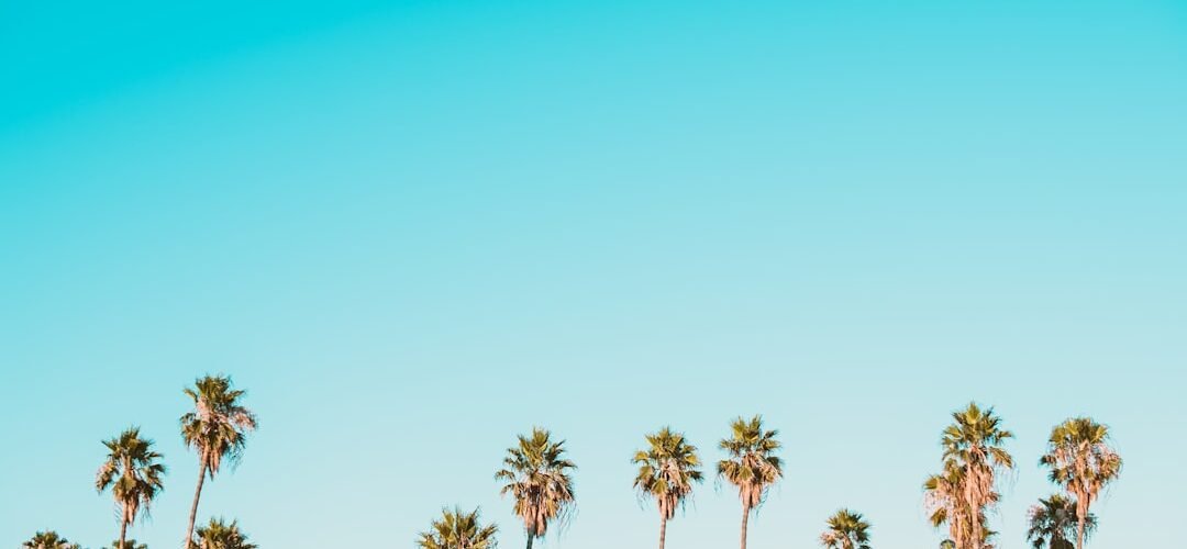 250420261777139648 1080x500