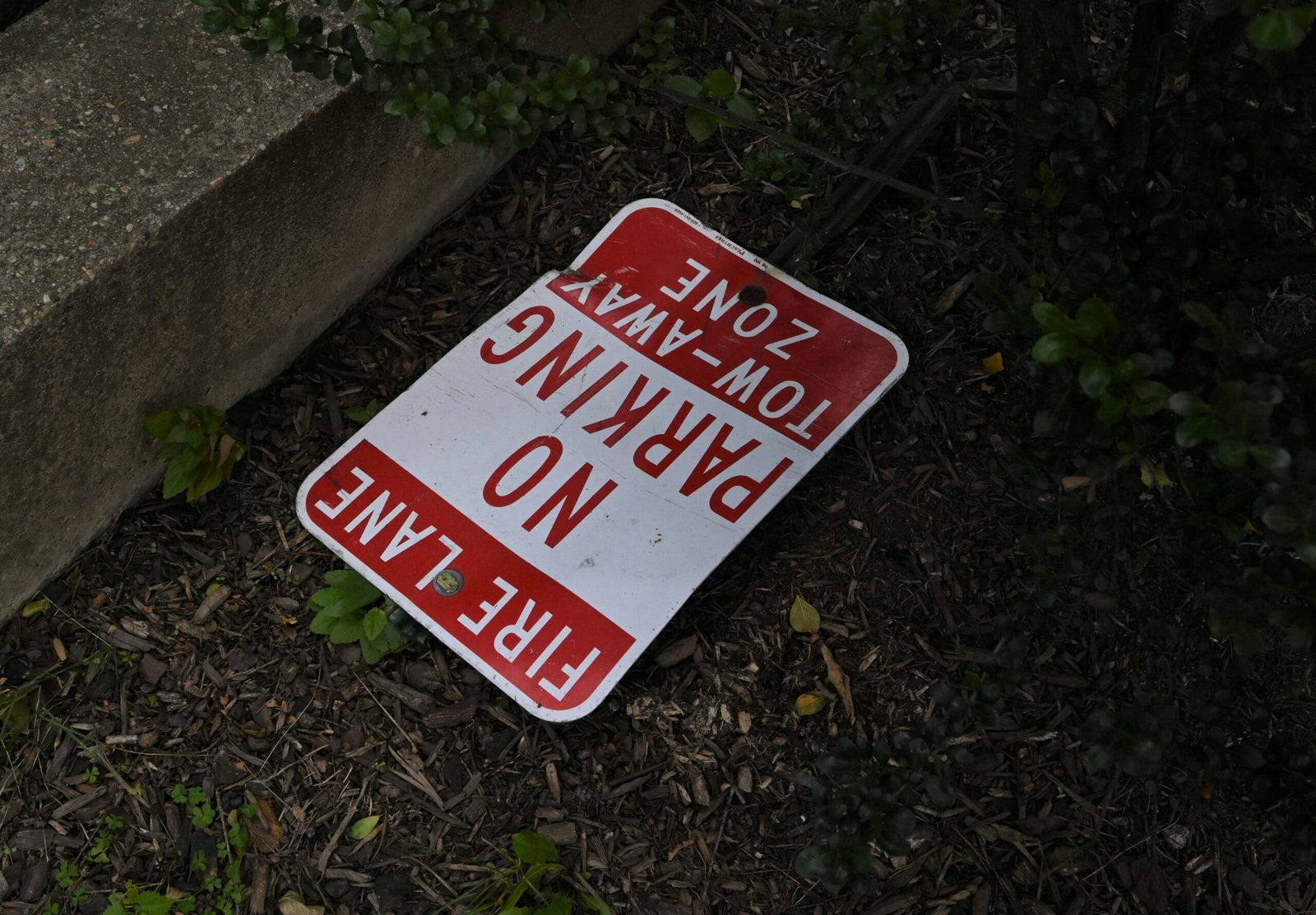 210720261784668972 scaled